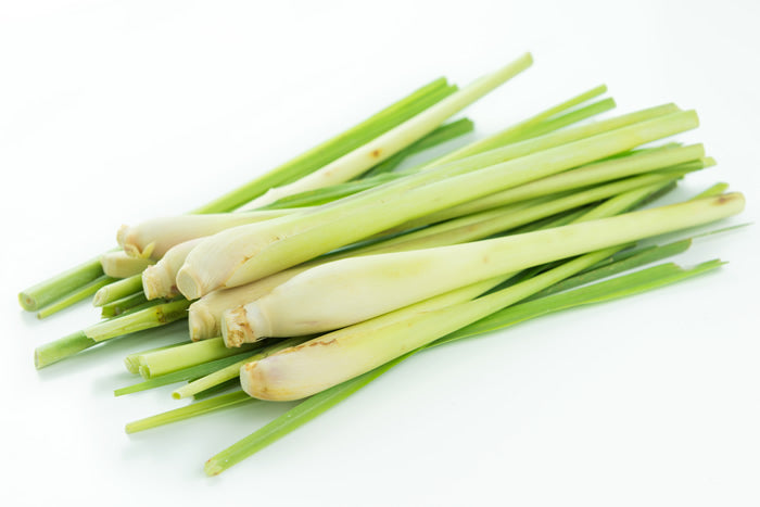 LEMONGRASS