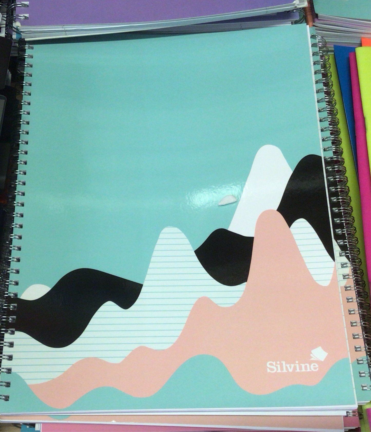 A4 SILVINE PASTEL NOTEBOOK