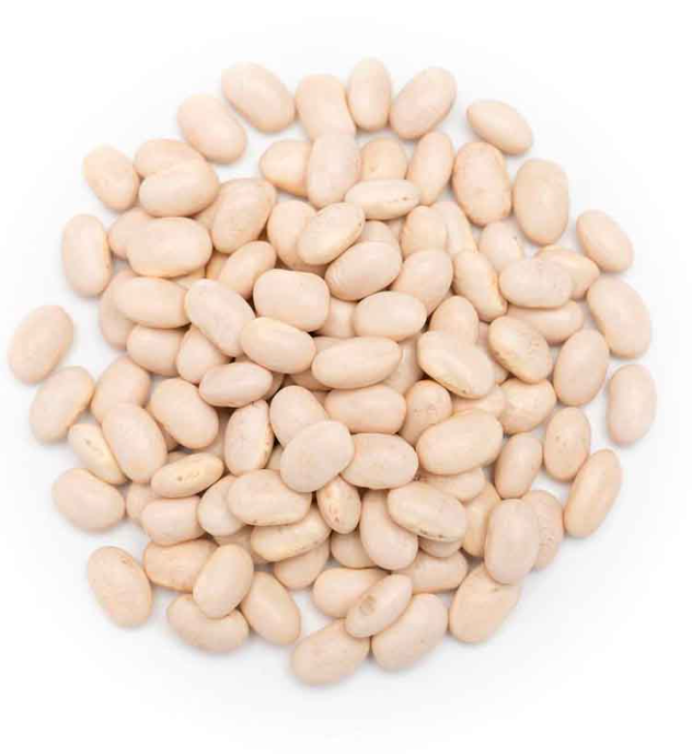 ORGANIC CANNELINI BEANS